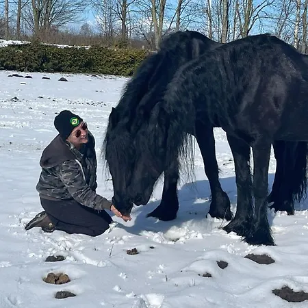 Farm stay Hipsy-gipsy Retreat-ranch